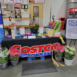 Costco Wholesale