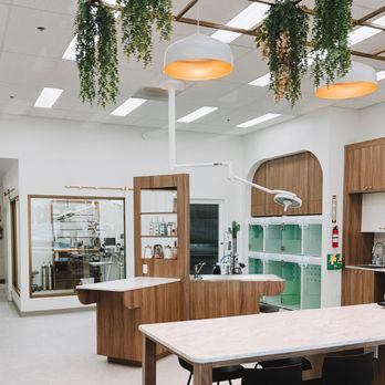 Fauna Veterinary Collective - Veterinarians Near Me - Lake Forest, California Fauna Veterinary Collective - Veterinarians Near Me - Lake Forest, California