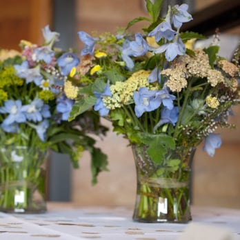 Asrai Garden - Florists Near Me - Chicago, Illinois Asrai Garden - Florists Near Me - Chicago, Illinois