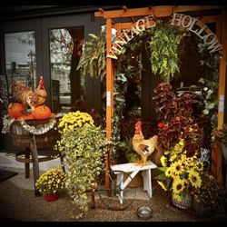 Vintage Hollow