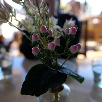Waverly - Closeup of the flower buds - pretty, not sure what flower! - Breakfast & Brunch Near Me - Cardiff, California Waverly - Closeup of the flower buds - pretty, not sure what flower! - Breakfast & Brunch Near Me - Cardiff, California