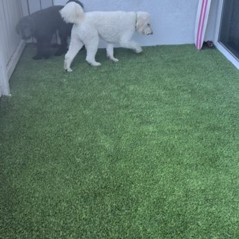 Smart Turf - Artificial Turf Near Me - Santa Ana, California