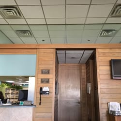 Andrea L Quaroni, DDS, MD