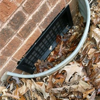 Pest-X Exterminating - Pest Control Near Me - Walkertown, North Carolina Pest-X Exterminating - Pest Control Near Me - Walkertown, North Carolina