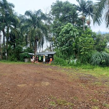 Krishna Cow Sanctuary - entrance area - Animal Physical Therapy Near Me Krishna Cow Sanctuary - entrance area - Animal Physical Therapy Near Me