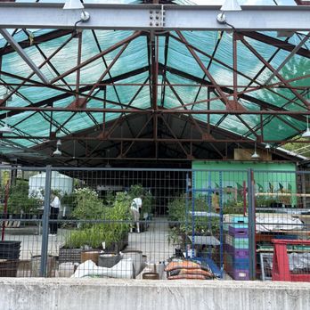 Evergreen Garden Market - Outdoor plant area - Nurseries & Gardening Near Me - Toronto, Ontario Evergreen Garden Market - Outdoor plant area - Nurseries & Gardening Near Me - Toronto, Ontario