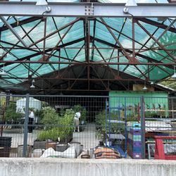 Evergreen Garden Market - Outdoor plant area