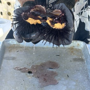 Santa Barbara Uni - Seafood Markets Near Me - Santa Barbara, California Santa Barbara Uni - Seafood Markets Near Me - Santa Barbara, California