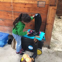 Silverwood Farm - Start them young
