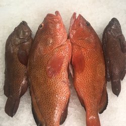 Grouper