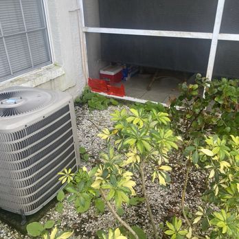 Cambridge Property Management - Rats! - Property Management Near Me - Naples, Florida
