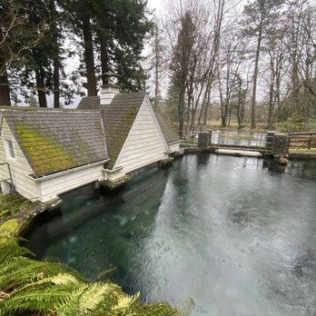 Bonneville Dam Fish Hatchery - Pond Viewing Window (above) - Aquariums Near Me - Cascade Locks, Oregon