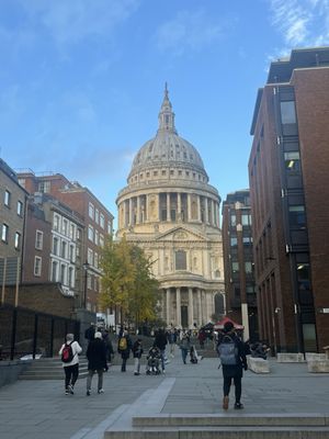 The Wren Coffee by null