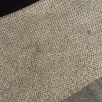 Boho Manor - Floor in the room - " we paid extra for a larger room "waterfront " !!!!! - Hotels Near Me - Monte Rio, California Boho Manor - Floor in the room - " we paid extra for a larger room "waterfront " !!!!! - Hotels Near Me - Monte Rio, California