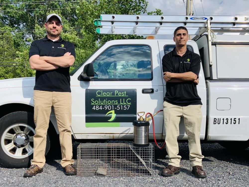 CLEAR PEST SOLUTIONS Updated October 2024 Parker Ford, Pennsylvania Pest Control Phone