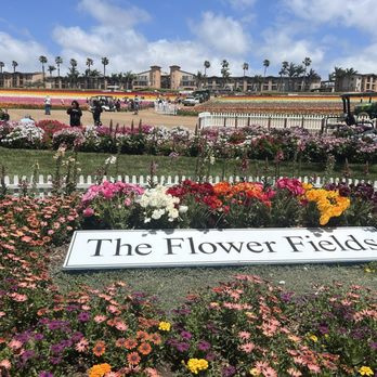 The Flower Fields - Entrance - Venues & Event Spaces Near Me - Carlsbad, California The Flower Fields - Entrance - Venues & Event Spaces Near Me - Carlsbad, California
