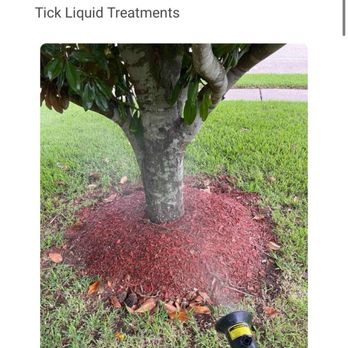 Hawx Pest Control - Mosquito nest area - Pest Control Near Me - Houston, Texas Hawx Pest Control - Mosquito nest area - Pest Control Near Me - Houston, Texas