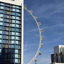 Influence The Pool at The LINQ