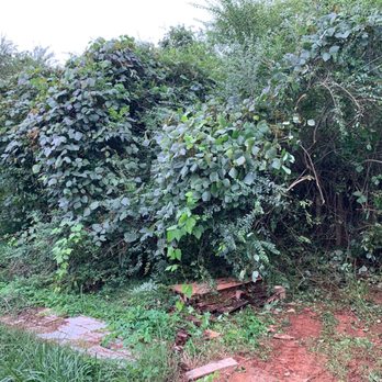 Stateline Gravel and Land Services - Before Land Clearing - Landscaping Near Me Stateline Gravel and Land Services - Before Land Clearing - Landscaping Near Me