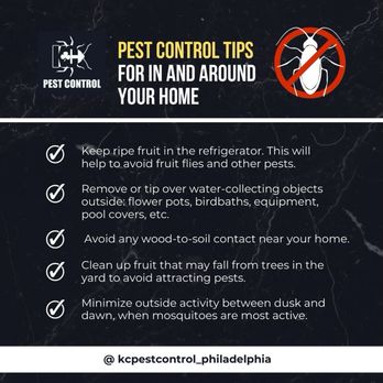 KC Pest Control - More tips! - Pest Control Near Me - Bensalem, Pennsylvania KC Pest Control - More tips! - Pest Control Near Me - Bensalem, Pennsylvania