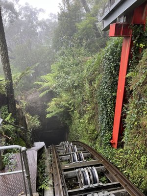 Scenic World by null