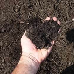 Diapers to Dirt with EarthBaby