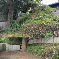 Easy Lawn Care & Landscaping - Before and after