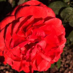 La Verne City - Going on daily walks in La Verne! Nature is everywhere...