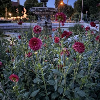 Volksgarten - Parks Near Me - Vienna, 9