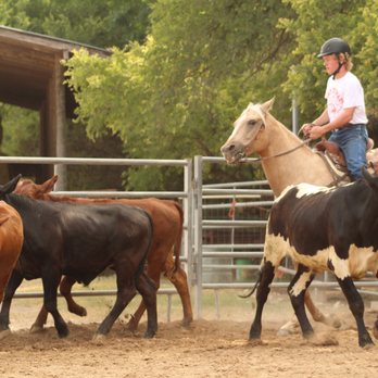 Camp Stewart For Boys - Learning to work cows, rope & ride, and handle aspects of ranch life is an opportunity for older boys who choose to be Ranchmen. - Summer Camps Near Me - Hunt, Texas Camp Stewart For Boys - Learning to work cows, rope & ride, and handle aspects of ranch life is an opportunity for older boys who choose to be Ranchmen. - Summer Camps Near Me - Hunt, Texas