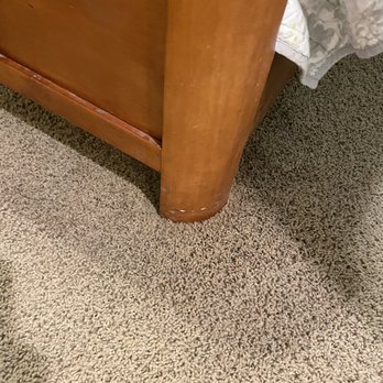 Rise Floor Cleaning - After photo of urine stain removed - Carpet Cleaning Near Me - Stevenson Ranch, California Rise Floor Cleaning - After photo of urine stain removed - Carpet Cleaning Near Me - Stevenson Ranch, California