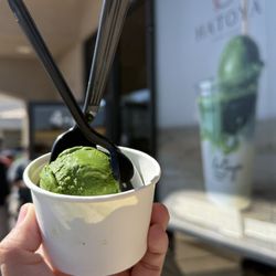 Side of GT Ice Cream