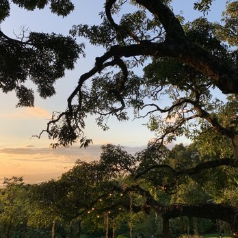 Experience Nutridge - The ever so beautiful Nutridge estate - Performing Arts Near Me - Honolulu, Hawaii