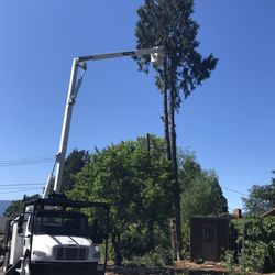 Eric's Tree Service
