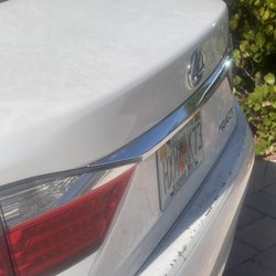 Shell - Back/trunk