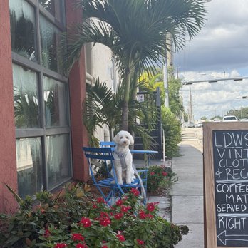 Fenix - Outside sitting area, cozy - Coffee & Tea Near Me - Hollywood, Florida Fenix - Outside sitting area, cozy - Coffee & Tea Near Me - Hollywood, Florida