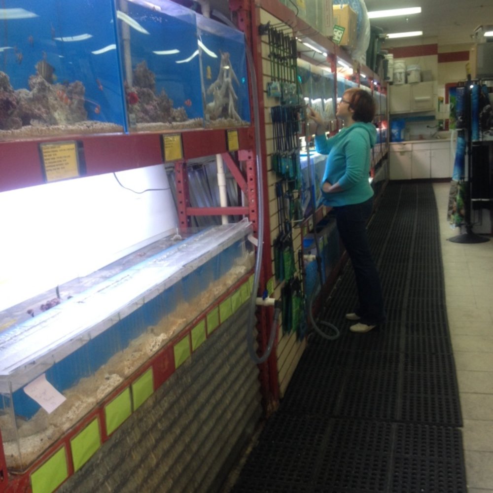 The Pet Department - So many fish! - Pet Groomers Near Me - Paso Robles, California