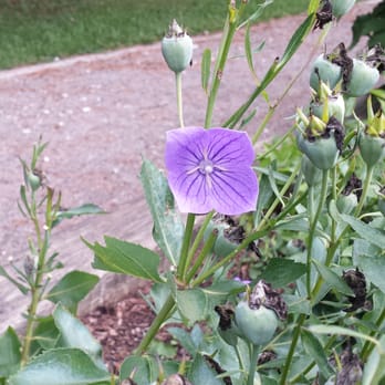 County Farm Park - Parks Near Me - Ann Arbor, Michigan