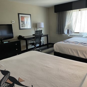 Best Western Plus Hyde Park Chicago Hotel - Hotels Near Me - Chicago, Illinois