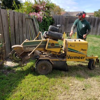Lorenzo's Tree Service - Tree Services Near Me Lorenzo's Tree Service - Tree Services Near Me
