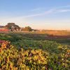 Thornton State Beach gift card