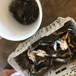 Joe's Bait & Crabs - Crabs! He will clean them for you.