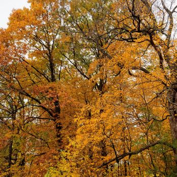 Lake Potawatomi - Lakes Near Me - Wheeling, Illinois