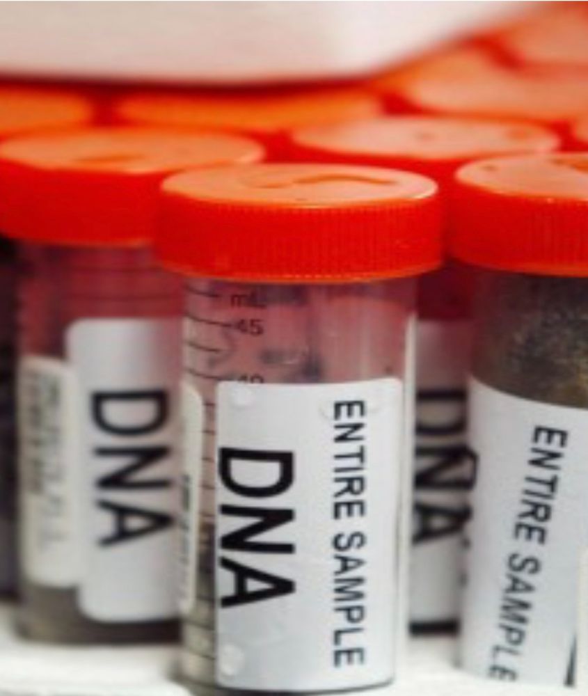 Health Halos Medical Solutions - safety consultant in Virginia Beach, VA