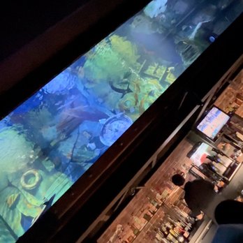 Dive Bar - above bar fish tank - Dive Bars Near Me - Sacramento, California Dive Bar - above bar fish tank - Dive Bars Near Me - Sacramento, California