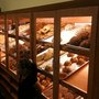 Photo of Panaderia
