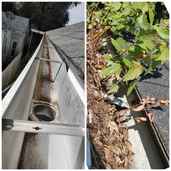 Lady with a Ladder - Gutter cleanup - Gutter Services Near Me Lady with a Ladder - Gutter cleanup - Gutter Services Near Me