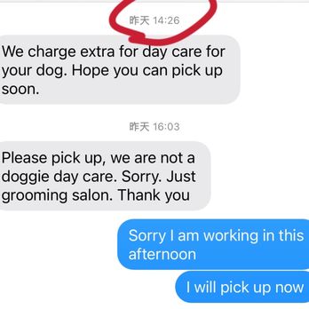 Dream Pet Grooming - Pet Groomers Near Me - Irvine, California Dream Pet Grooming - Pet Groomers Near Me - Irvine, California