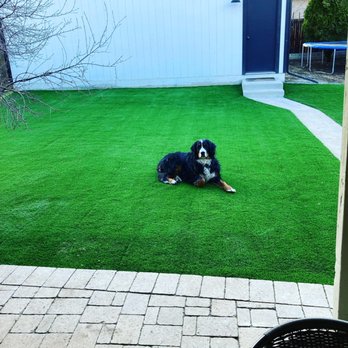 Mile High Synthetic Turf - Artificial Turf Near Me - Brighton, Colorado Mile High Synthetic Turf - Artificial Turf Near Me - Brighton, Colorado