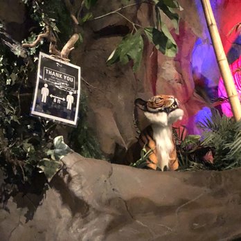 Rainforest Cafe - Give the tigers some space - American Near Me - Gurnee, Illinois Rainforest Cafe - Give the tigers some space - American Near Me - Gurnee, Illinois